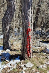 Vrh Perun, sa žigom, 2 minute od skullture Peruna