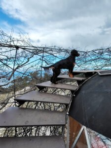 Terasa -promatračnica