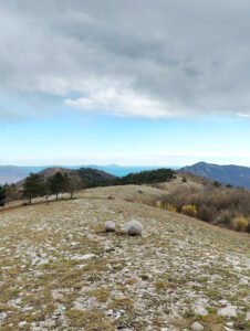 Neizvaljana jaja i Kvarner