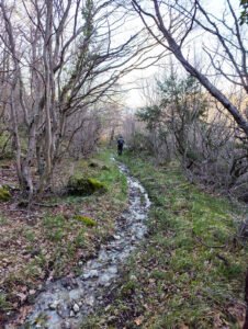 pri kraju voda i planinari dijele put
