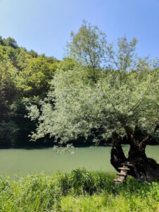 Koranski planinarski put Palčeki