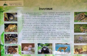 Koranski planinarski put info tabla Životinje