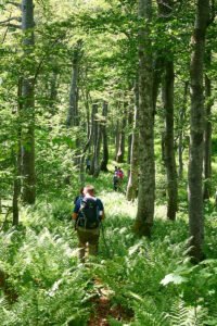 Na putu za Laktin vrh