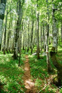 Na putu za Laktin vrh