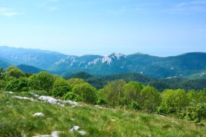 Dabarski kukovi u daljini