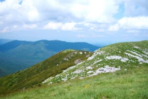 trava, zemlja, kamen, klekovina