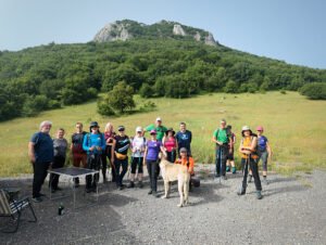 Posada i kangal i Zir