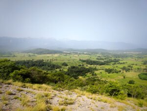 Lika i saharski pijesak