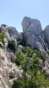 Tulove grede foto: Bojan Blažić