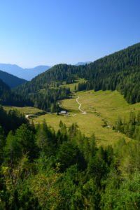 Kmetija s kislim mlekom