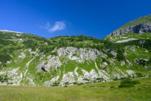 Najljepša nijansa zelene