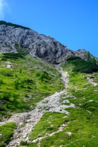 Najljepša nijansa zelene