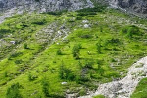 Najljepša nijansa zelene