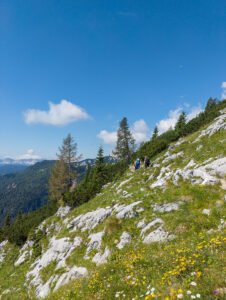 Prema Vodnikovom domu