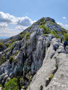 pitomi Mosor i meki kamen